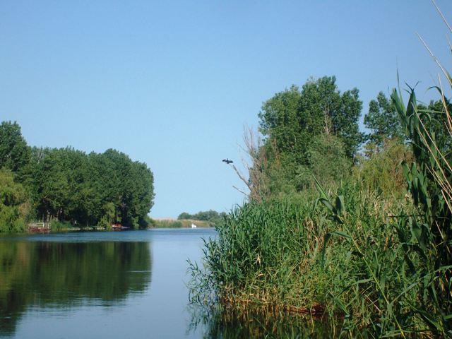 Doar ...  NATURA - sany0757.JPG